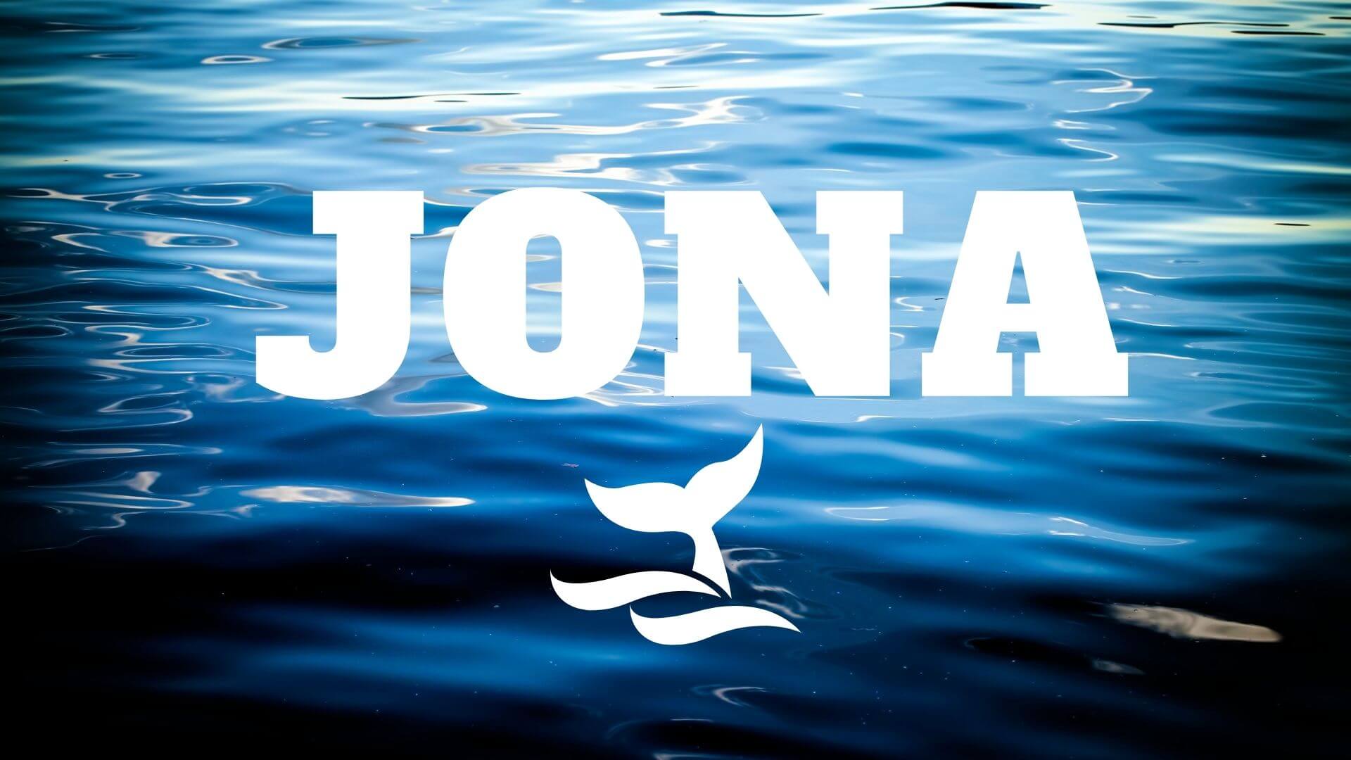 Jona 2: Stürme des Lebens